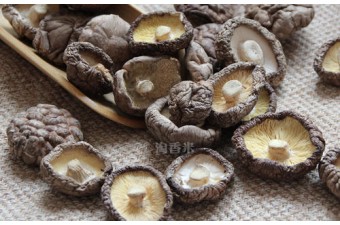 昌盛寶菇優(yōu)質(zhì)鮮香菇精挑細(xì)選廠家直銷批發(fā)一件500kg起批